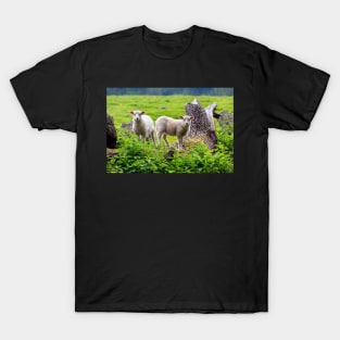 sheep T-Shirt